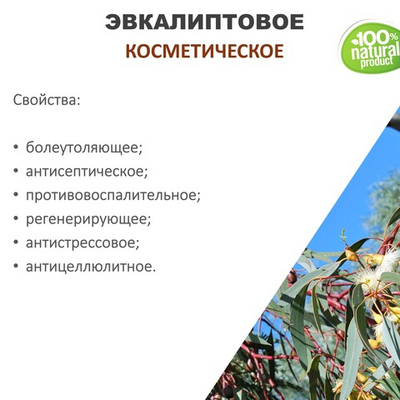 Эвкалиптовое масло, косметическое, 100 мл