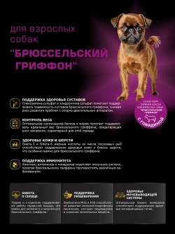 Корм сухой для собак Брюссельский гриффон, говядина 800 гр