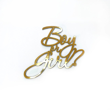 Декор акриловый "Boy or Gerl" 8*7,5 см