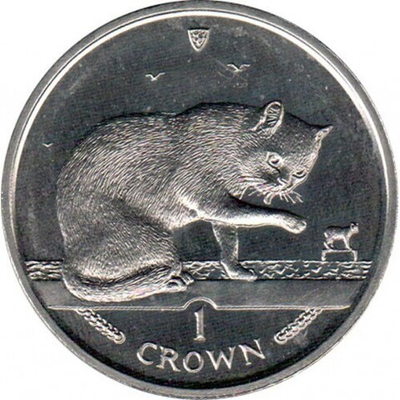 Британская короткошёрстная кошка