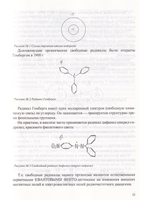 Биофизическая и радиационная экология