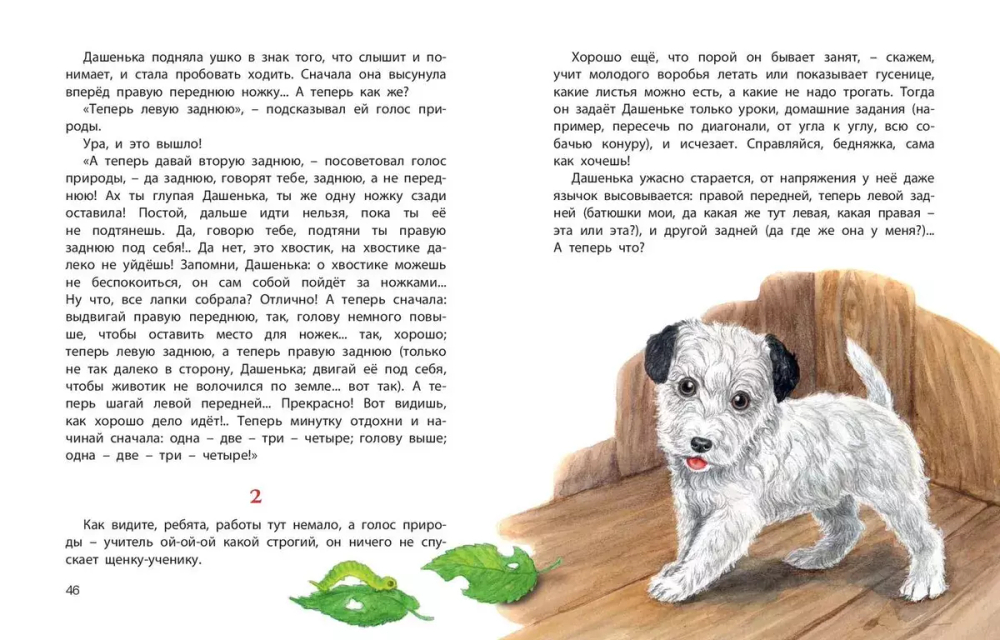 Истории из щенячьей жизни : рассказы