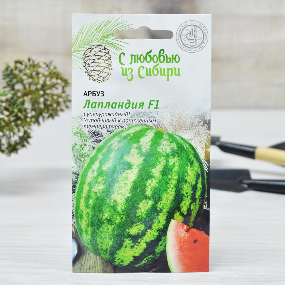 АРБУЗ Лапландия F1 (3шт) скороспелый Цв.пак. (10шт)