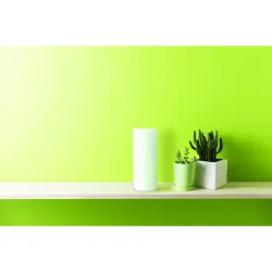 Декоративная настольная лампа Arte Lamp