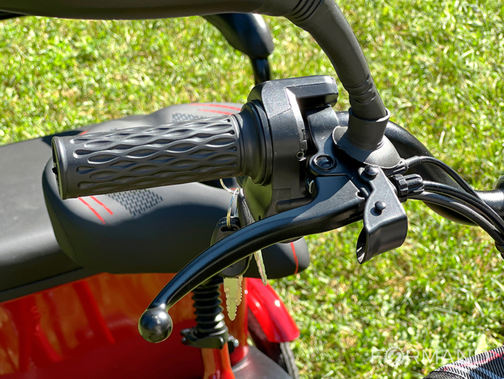 Трехколесный двухместный электровелосипед TRION Delta, Красный