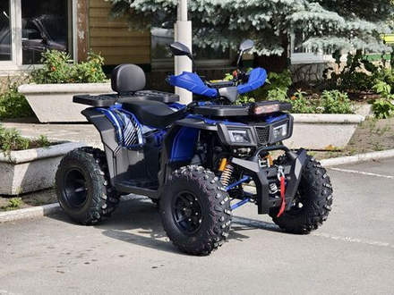 Комплект запчастей (Машинокомплект) для сборки квадроцикла Lion 200Х PRO с лебедкой синий