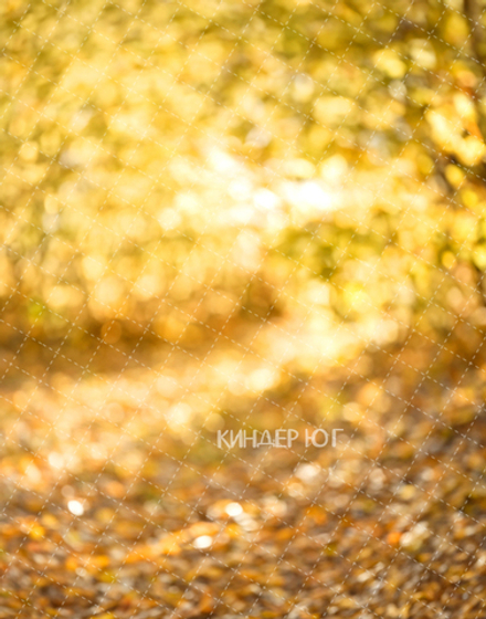 Фотофон "Портретный" арт. ФФ910-19