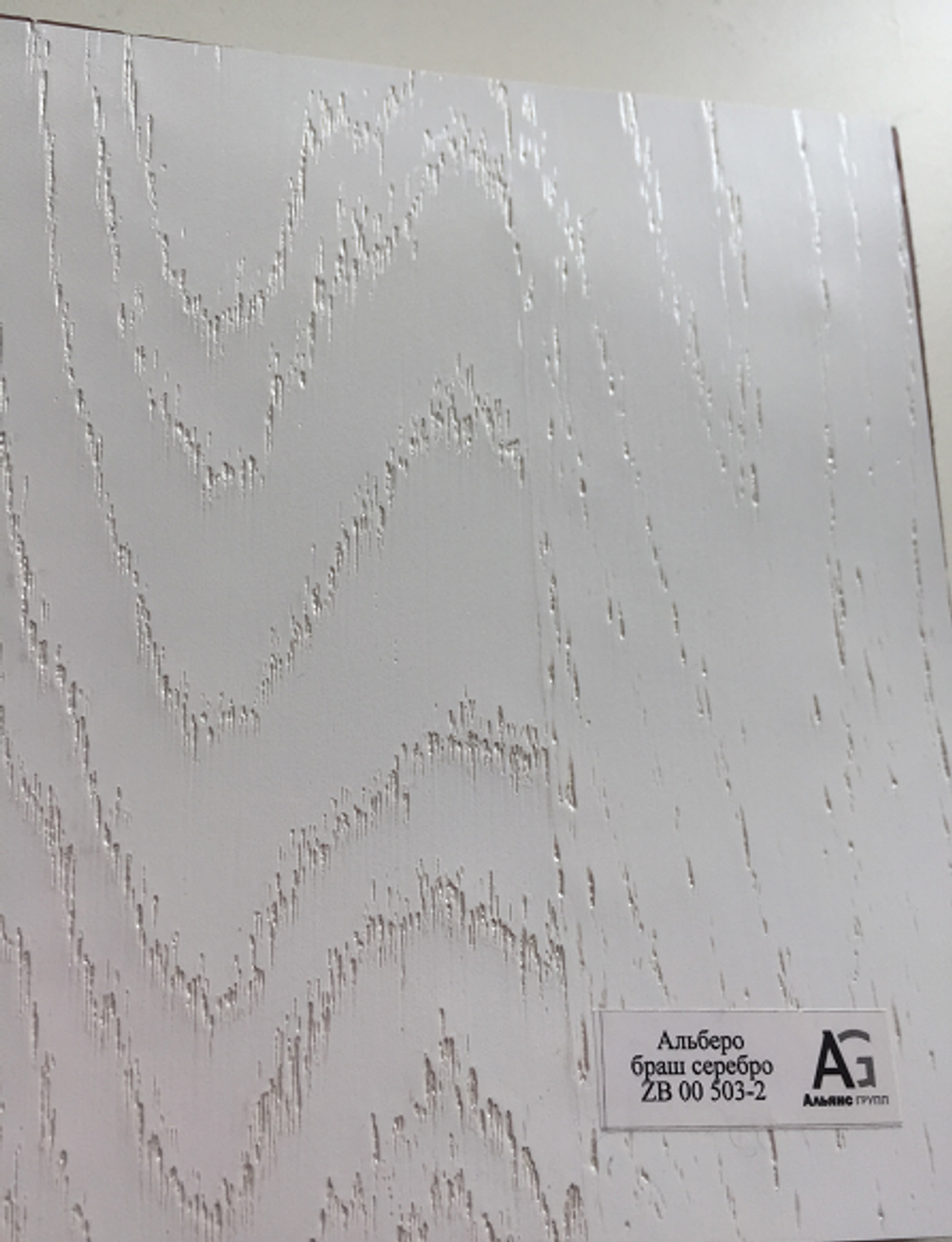Входная металлическая дверь VERSAL (Версаль)  Альберо браш серебро / 24 Графит софт