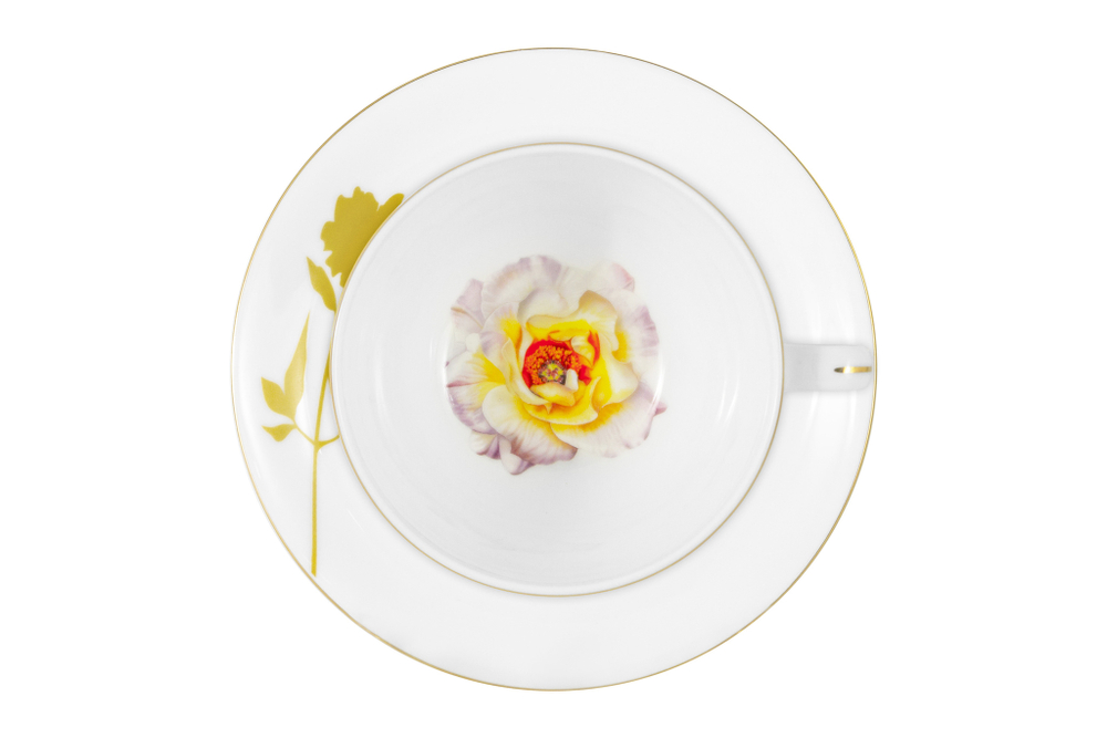 Чайная пара 250мл Kamelia Anna Lafarg Emily