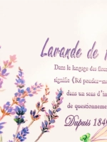 Поднос металлический