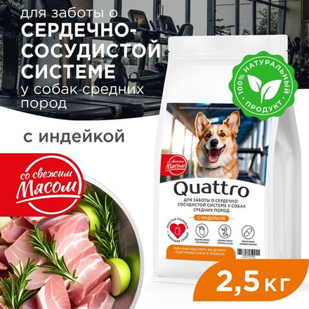 Корм сухой для взрослых собак средних пород, премиум полнорационный комплекс, забота о сердце и сосудах, с индейкой, 2,5 кг, QUATTRO