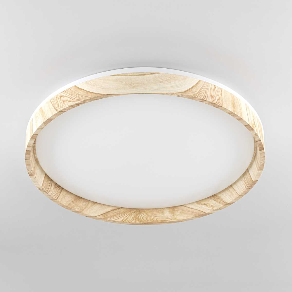 Потолочный светодиодный светильник Citilux Enzo CL753452G