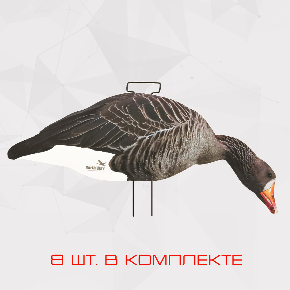 Профиля белолобого гуся North Way