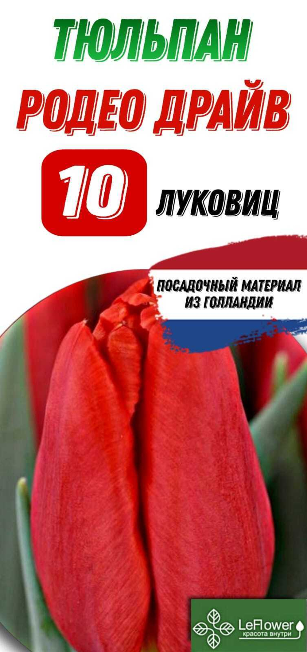 Тюльпан Луковица, Родео Драйв, 10шт