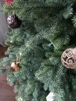 Искусственная ель «Леано» (Литая хвоя) 180 см / 1.8 м