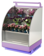 Горка холодильная Lida Stella Flora maxi (1000х1200х2000 мм)