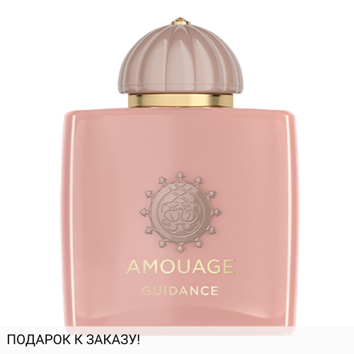 Amouage Guidance
