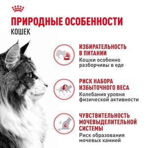 Пауч Royal Canin Instinctive для взрослых кошек, мелкие кусочки в соусе