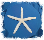 Морская звезда Фингер