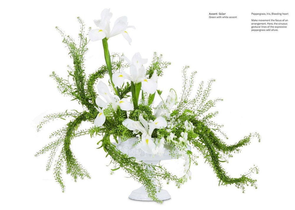 Flower Colour Theory