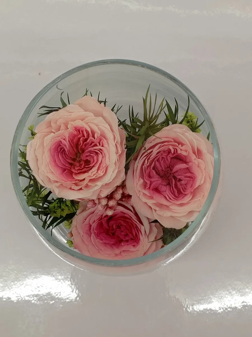 натуральные кустовые пионы в стекле, вакуум*