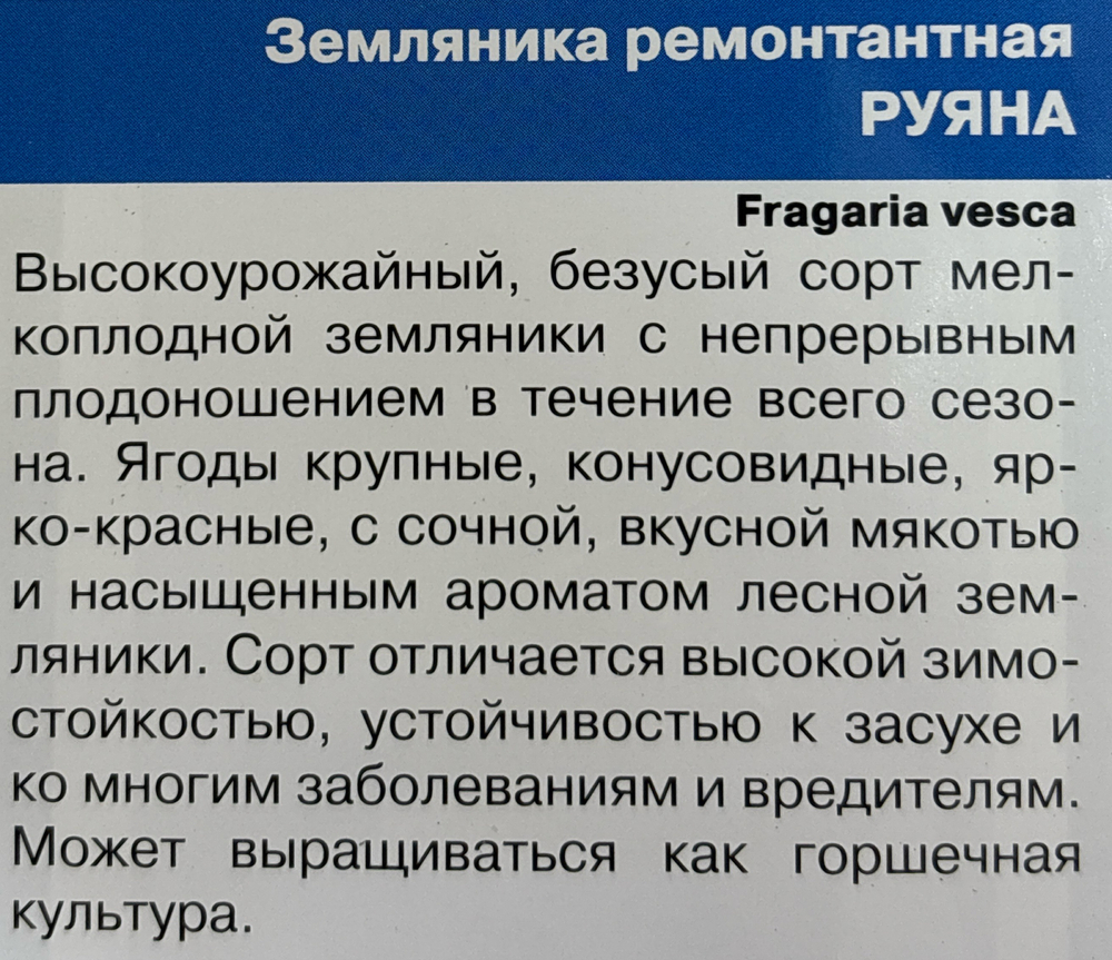 Земляника Руяна рем. 0,05 г б/ус СМЯ-17