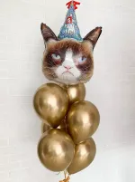 "Сердитый котик" (набор из 7 шаров) №2134