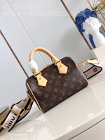 Louis Vuitton Speedy 20