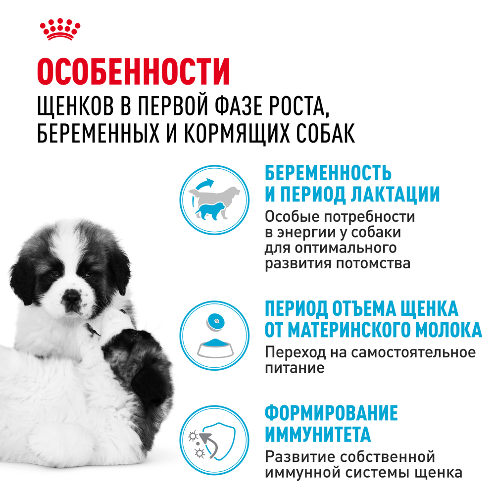 Сухой корм Royal Canin Giant Starter для щенков очень крупных размеров до 2 месяцев, беременных и кормящих сук 15кг