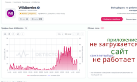 Wildberries и "Сбер" переживают серьёзный сбой