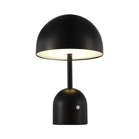 SLE1806-404-01 Прикроватная лампа Черный/Черный LED 1*3W 3000-6000K ECLAT