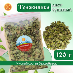 Лист толокнянки.