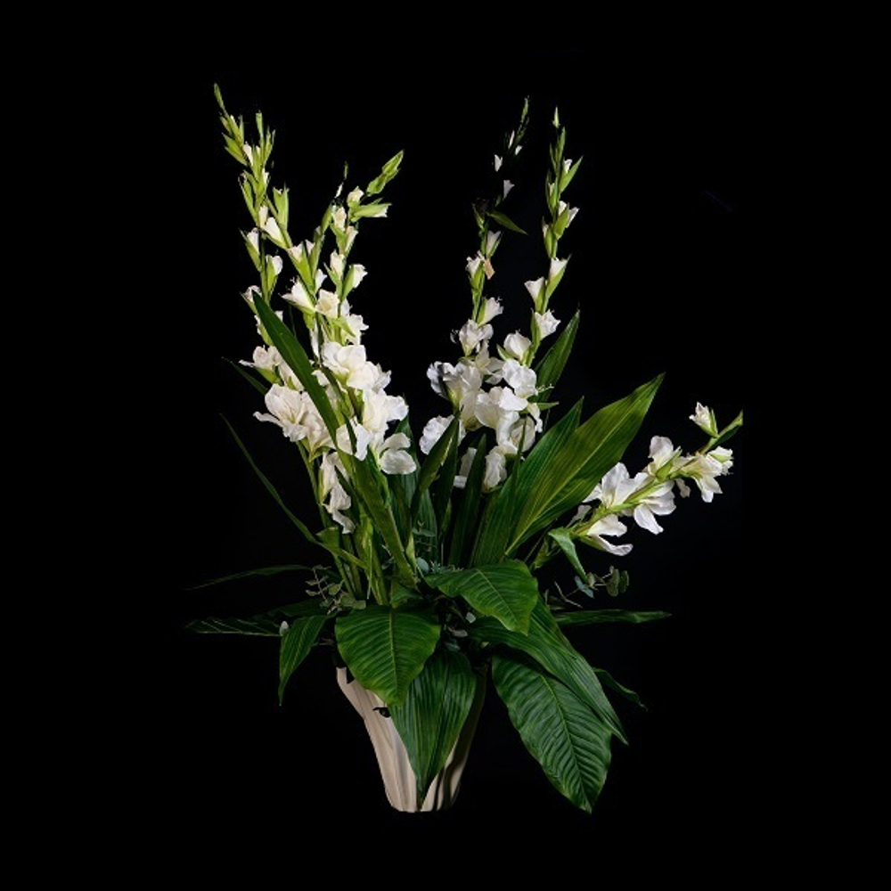 Гладиолус белый [Арт. 106115/8]