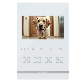 Монитор видеодомофона SF Ain White белый