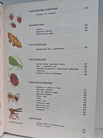 Мир животных. Рассказы о насекомых