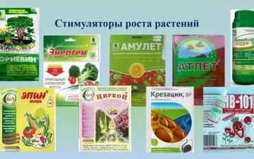 Стимуляторы роста