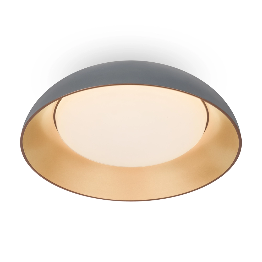 Потолочный светодиодный светильник Freya Moonlight FR5277CL-L72GR
