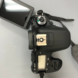 Canon 77 d (2300 кадров)
