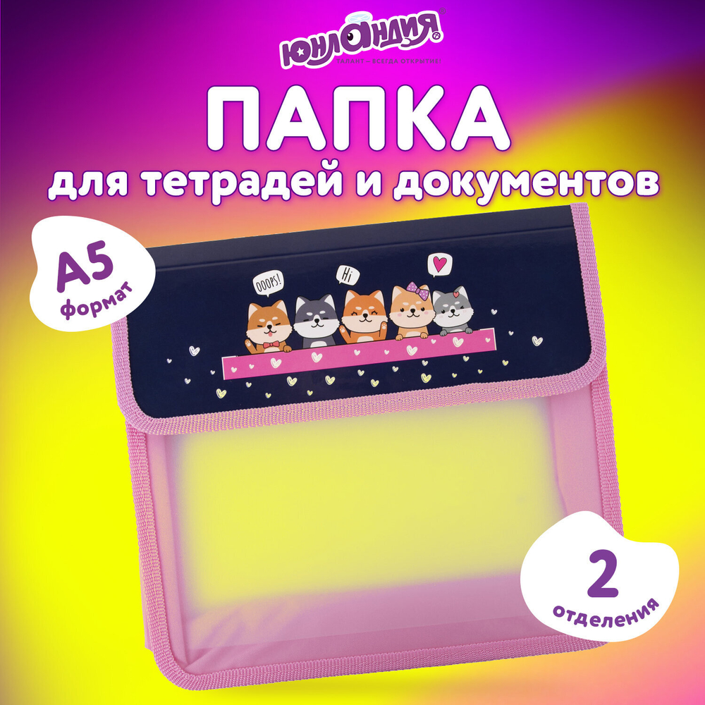 Папка для тетрадей ЮНЛАНДИЯ А5, пластик, 2 отделения, клапан на липучке, "Dream Team", 271490