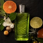 Мужская парфюмерия THE MERCHANT OF VENICE Perfumy Muskie EDP Colonia Veneziana 100 ml