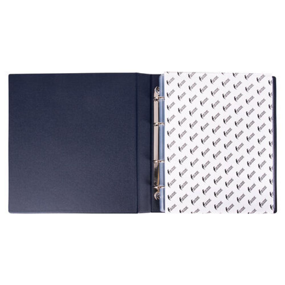 Альбом нумизмата для 380 монет (диаметр до 38 мм) и купюр, 253х238 мм, синий, ОСТРОВ СОКРОВИЩ, 237960