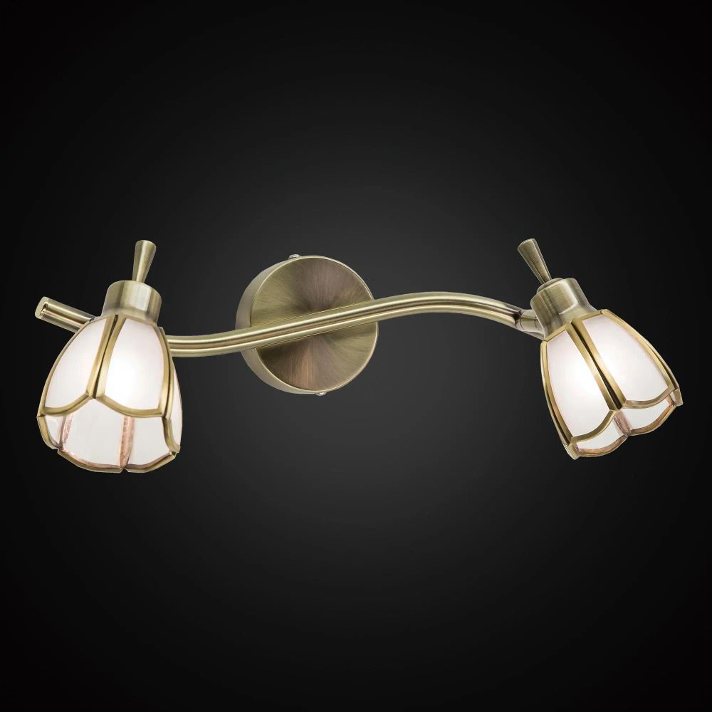 Citilux Альтен CL522521 Спот поворотный Бронза