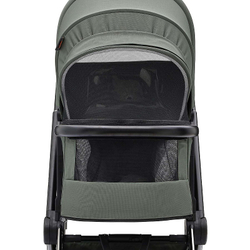 Коляска 2 в 1 Labala Raiz Edition Line 2025 Green