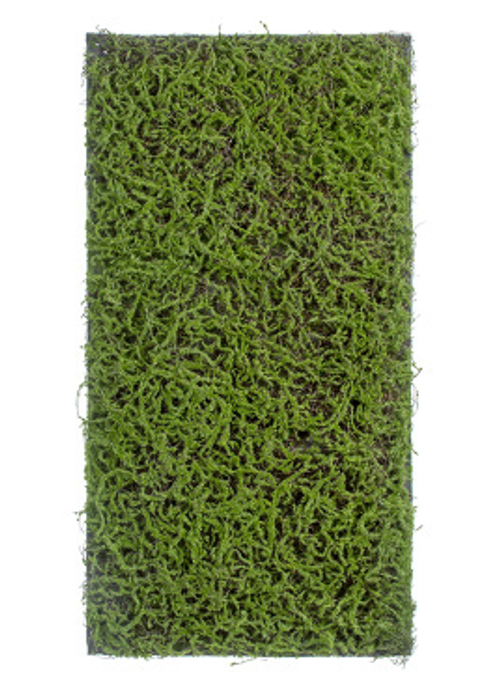 Мох Сфагнум Fuscum зелёный (полотно среднее)