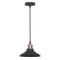 Подвесной светильник Arte Lamp LIDO A5067SP-1BK