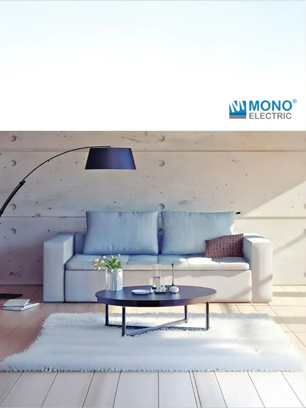 Розетка 2-я без заземления титан