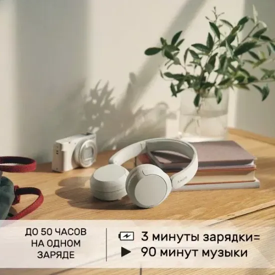 Беспроводные наушники Sony WH-CH520 Белый