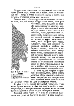 Про пчел, их жилища и уход за ними по правилам пчеловодной науки | Красноперов Степан Константинович