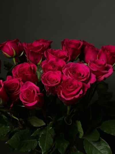 Розы сорт «QUEEN BERRY» (Эквадор)