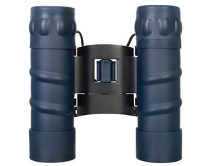 Бинокль Levenhuk Discovery Gator 10x25